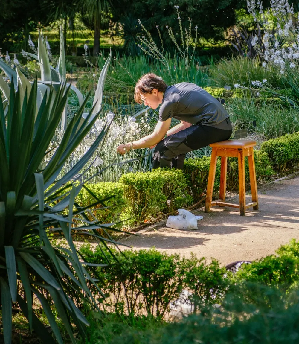 Gardener crouching to care for plants in a garden bed