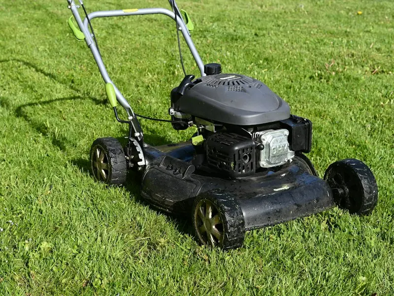 Push lawn mower on freshly cut grass