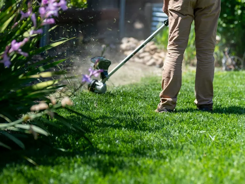 Gardener edging a green lawn with a string trimmer