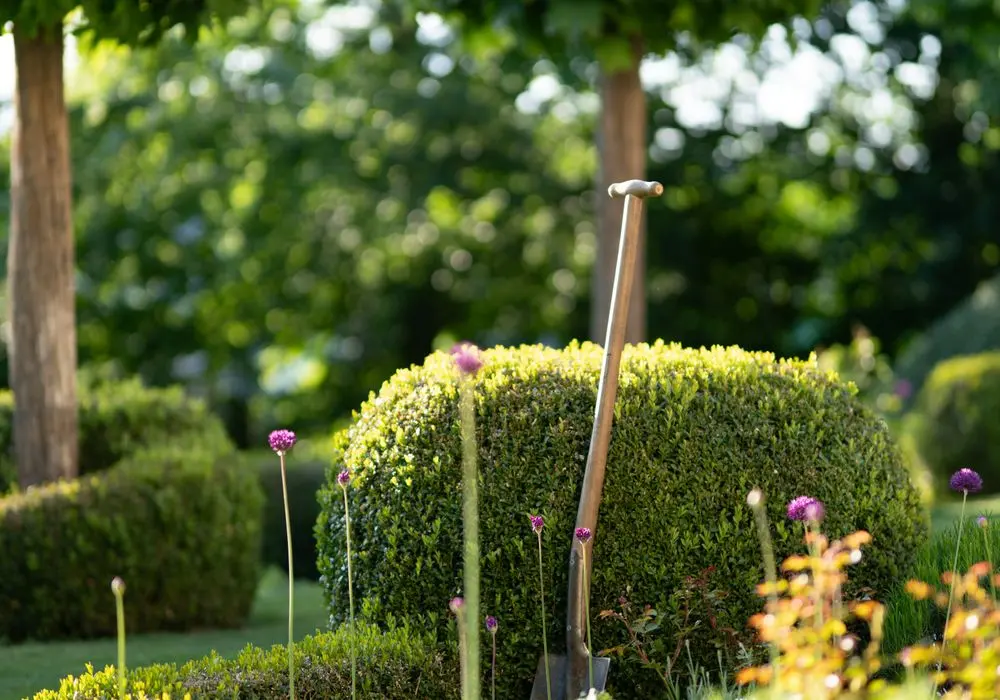 Well-kept garden with topiary shapes and flowering borders